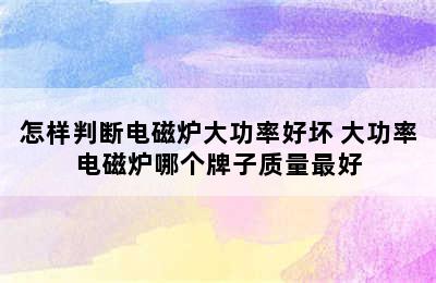 怎样判断电磁炉大功率好坏 大功率电磁炉哪个牌子质量最好